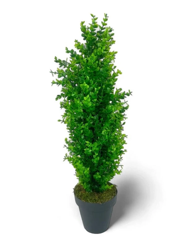Nettenevime Yapay Çiçek Siyah Saksıda Yeşil Şimşir Ağacı 70*30cm ürün görseli 1