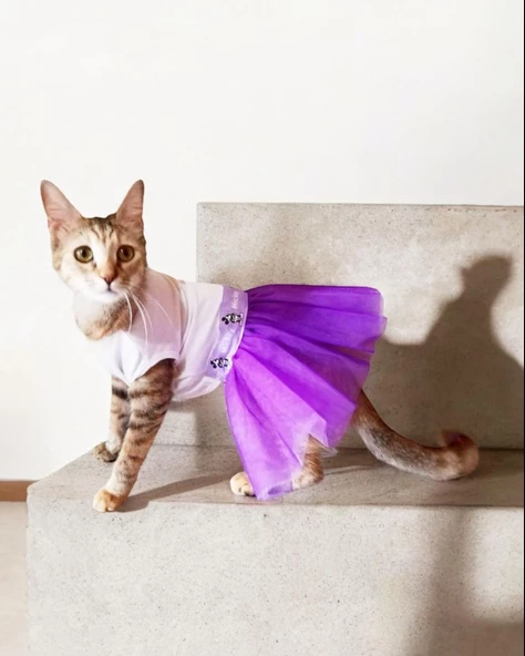 Eflatun Sevimli Fare Tütülü Kedi Elbisesi, Kıyafeti Tutu ürün görseli 1