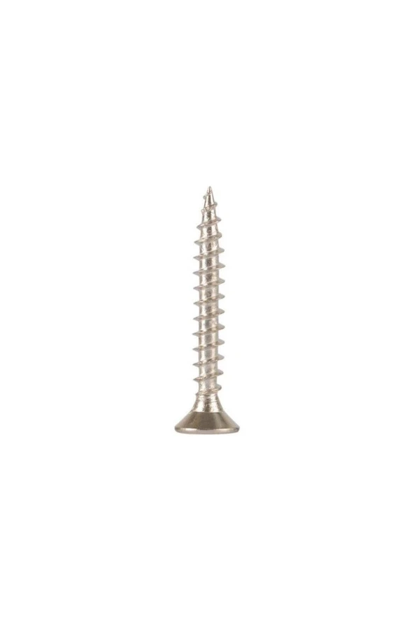 Sunta Vidası 4x60 Mm 100 Adet Dın 7505 Çinko Kaplama ürün görseli 1