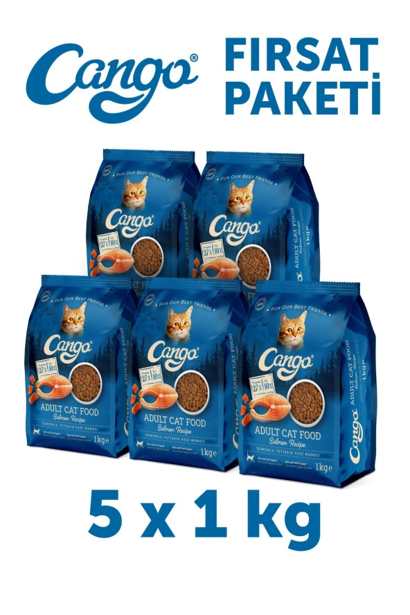 Cango Yetişkin Kedi Maması Somonlu 1 Kg 5'li ürün görseli 1