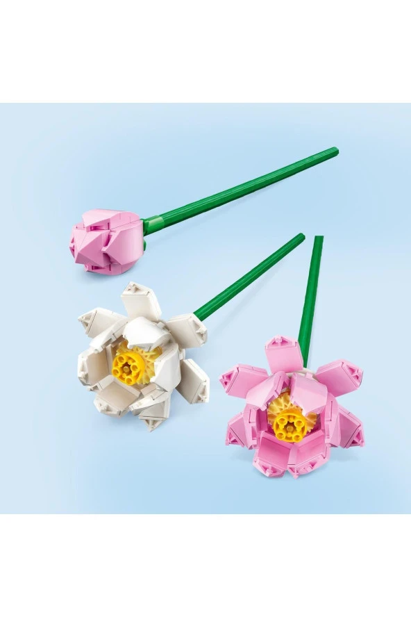 Lotus Çiçekleri 40647 - Resim 2