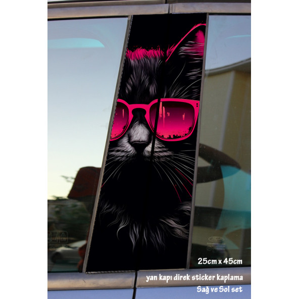 gözlüklü kedi- yan kapı direk kaplama folyosu - 2 adet sol sağ sticker set ürün görseli 1