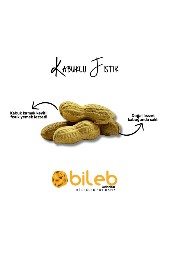 Kavrulmuş Kabuklu Yer Fıstığı 1 Kg ürün görseli 1