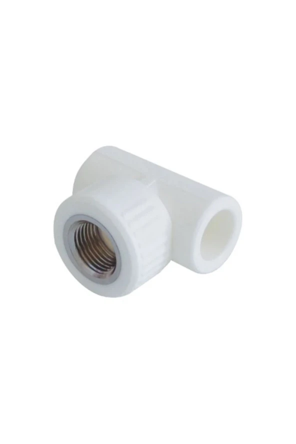 DİŞİ TE PP KALDE 20MM 1/2" 20 6 ADET ürün görseli 1