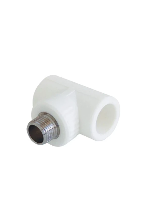 ERKEK TE PP KALDE 20MM 1/2" 20MM 4 ADET ürün görseli 1