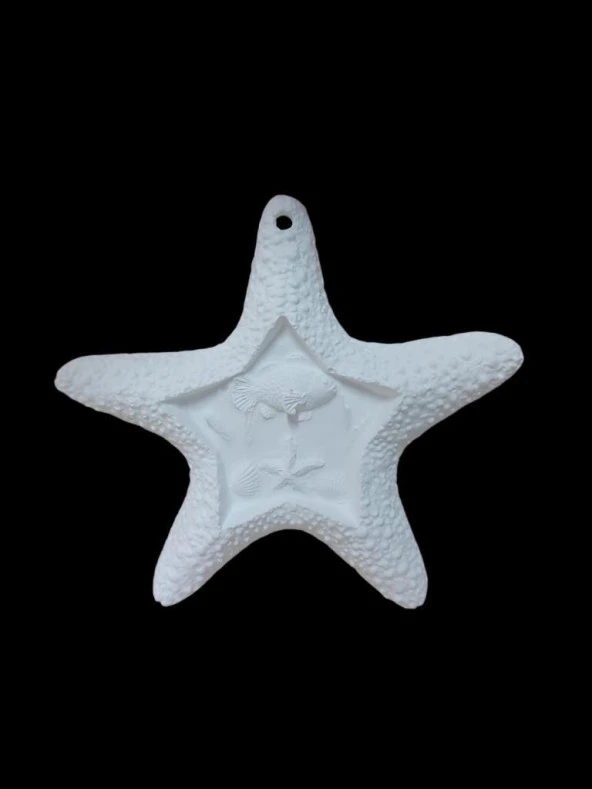 Deniz Yıldızı 17x16cm ürün görseli 1