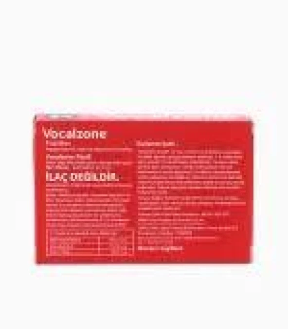 Vocalzone Klasik 24 Pastil - Resim 2