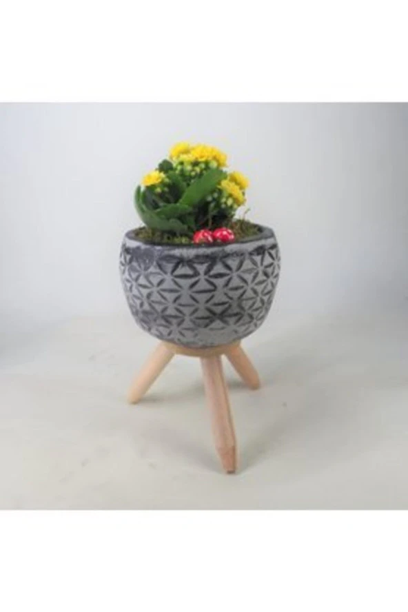 Sarı Kalanşo Kalanchoe & Siyah Bers Ayaklı Beton Saksıda Hediyelik Canlı Çiçek ürün görseli 1