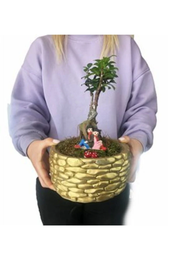 Ficus Ginseng Bonsai & Sırt Sırta Sevgili Biblo & Altın Honey Beton Saksıda Hediyelik Canlı Çiçek ürün görseli 1