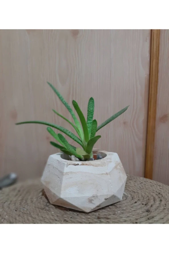Geometrik Beton Saksı ürün görseli 1