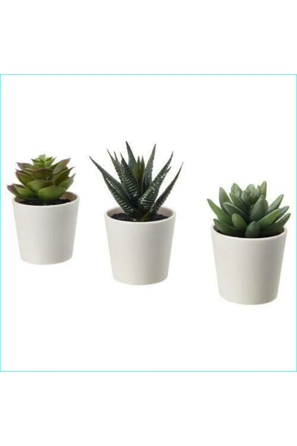 Mini Seramik Saksılarda Üçlü Kaktüs Seti ürün görseli 1