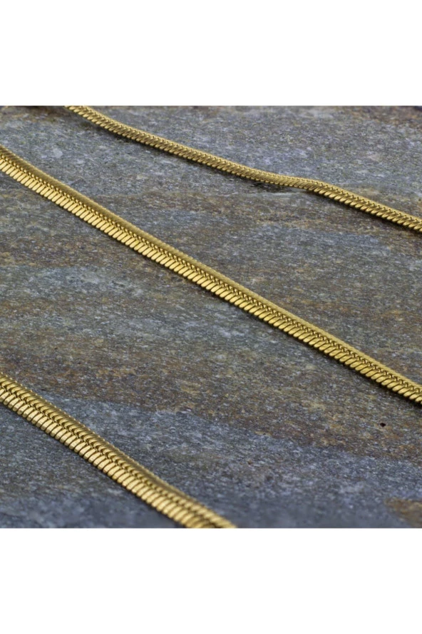 Altın Renk Italyan Yassı Balık Sırtı Zincir Çelik Kolye Ince 60 Cm ürün görseli 1