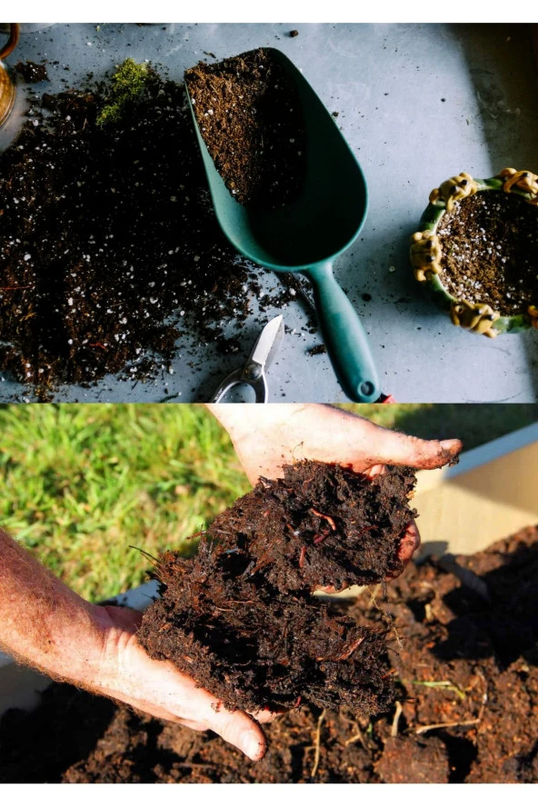 15 litre Bonsai Toprağı %100 Organik ve Katkısız Torf 17 Bitkinin Çözülmesinden Oluşmuş ürün görseli 1
