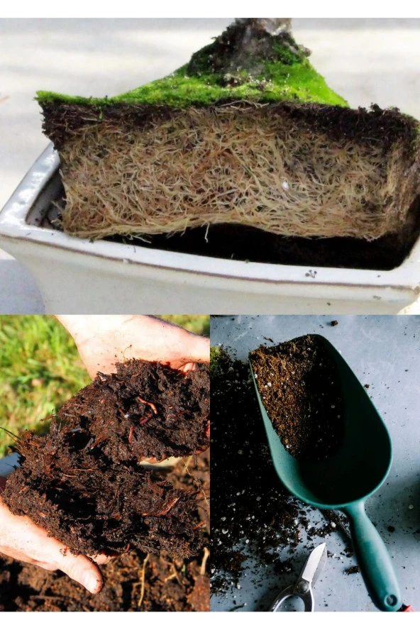 10 litre Bonsai Toprağı %100 Organik ve Katkısız Torf 17 Bitkinin Çözülmesinden Oluşmuş ürün görseli 1