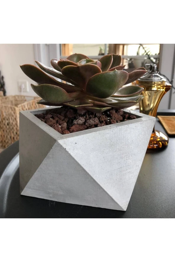 Geometrik kaktüs aranjman ve çiçek saksısı ürün görseli 1
