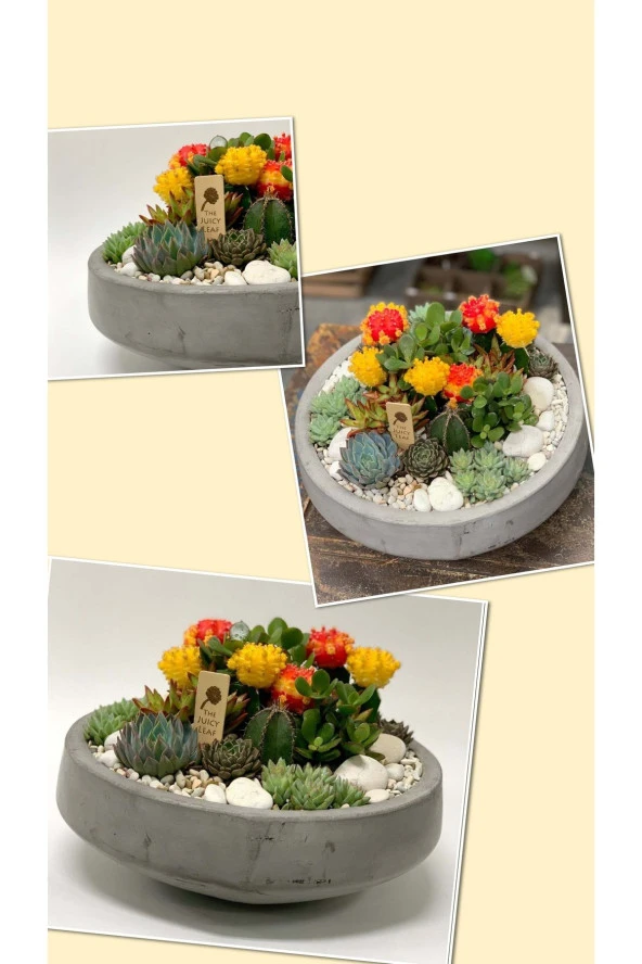 Gri Oval Beton ve Bonsai Saksısı Çiçek Desen Ağız Çap 20-30 cm çap ürün görseli 1