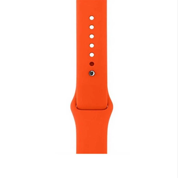 Apple Watch 42mm  Klasik Kordon - Resim 6