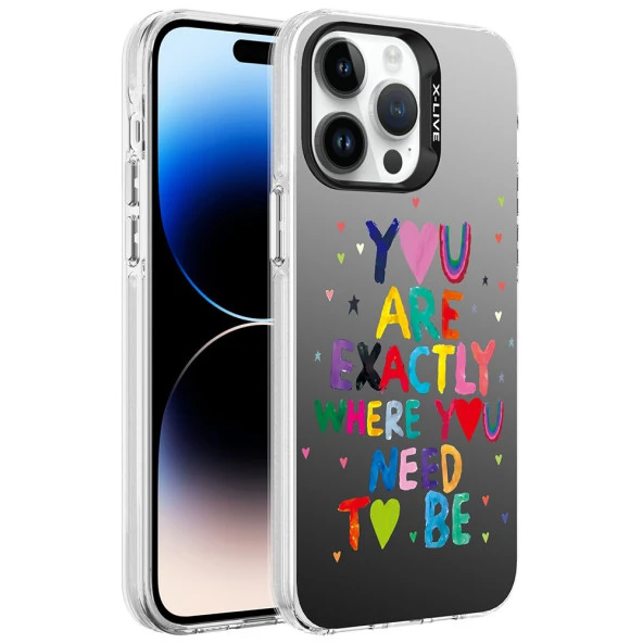 Apple iPhone 14 Pro Max Kılıf Desenli  Silver Sert Kapak - Resim 3