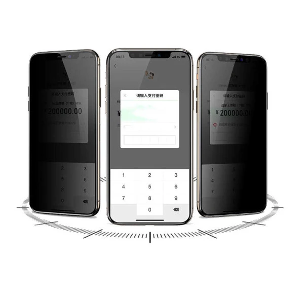 Apple iPhone 12 Pro Max Davin 5D Privacy Cam Ekran Koruyucu - Resim 3