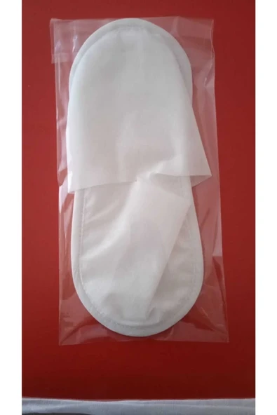 25 ML 500 ADET BASKILI BOŞ ŞİŞE. DUŞ JELİ BASKILI ŞİŞE. OTEL TİPİ MİNİK . ürün görseli 1