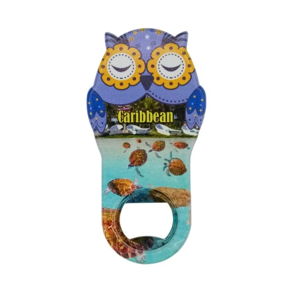 Karayipler Temalı Baykuş Magnet Kapak Açacak ürün görseli 1