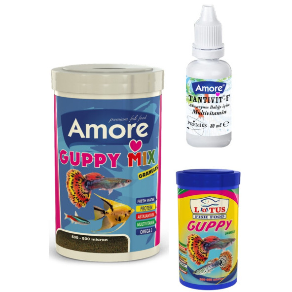 Amore Guppy Mix Granules 250ml Lepistes Moli Melek Tropikal Akvaryum Balık Yemi, Lotus Guppy 100ml, Multivitamin ürün görseli 1