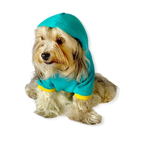 Blue Bear Kapşonlu Köpek  Sweat by Kemique - Resim 5
