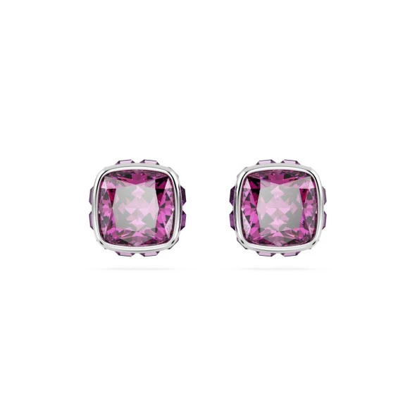 5660797 Swarovski Küpe Birthstone:Pe Studs Feb Pur/Rhs ürün görseli 1
