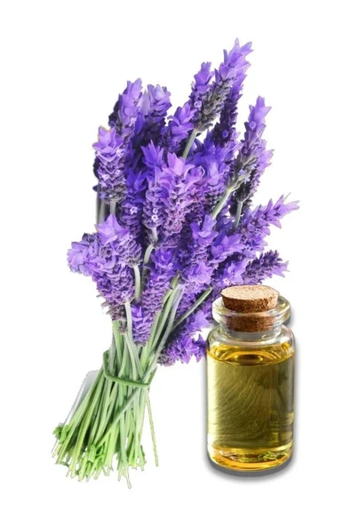 Balen Lavanta Yağı 20 ml 3'lü - Resim 2