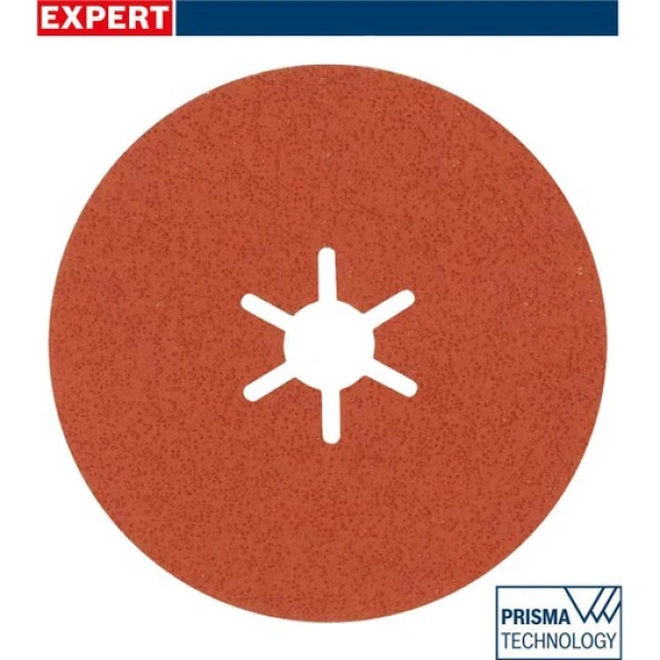 Bosch R782 Expert 100MM 60 Kum Inox Disk Zımpara 25'li 2608621817 ürün görseli 1