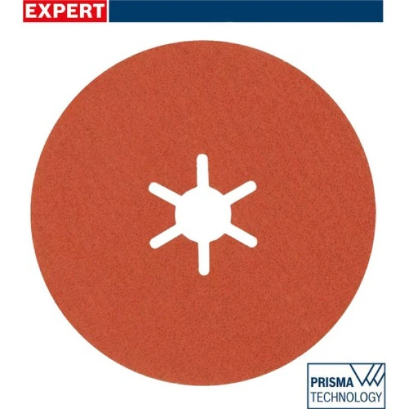 Bosch R782 Expert 100 mm 80 Kum Inox Disk Zımpara 25'li 2608621818 ürün görseli 1