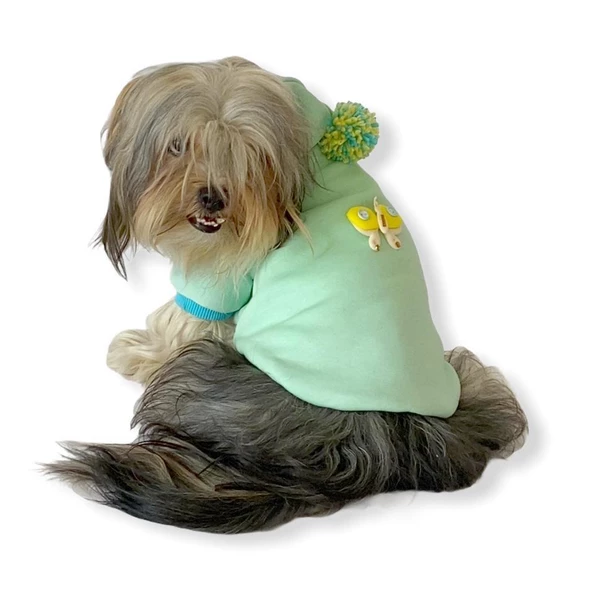 Su Yeşili Kelebek Kapşonlu Sweat by Kemique Köpek Kazağı ürün görseli 1