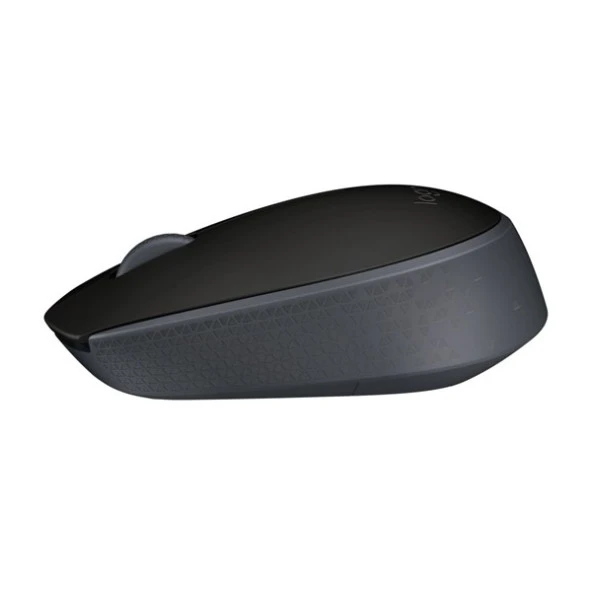LOGITECH M171 Kablosuz Optic Siyah Mouse 910-004424 - Resim 3
