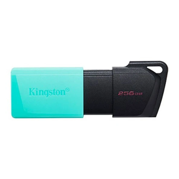 KINGSTON 256GB USB3.2 DTExodaM DTXM/256GB USB BELLEK ürün görseli 1