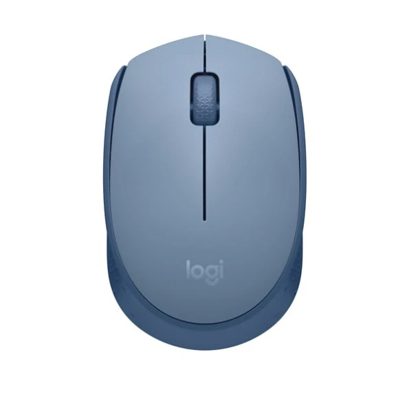 LOGITECH M171 Kablosuz Mouse-Bluegrey 910-006866 ürün görseli 1