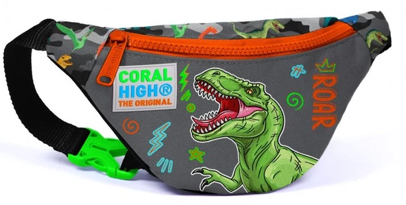 Coral High Erkek Çocuk Günlük Bel Çantası - Gri Yeşil Dinazor ürün görseli 1