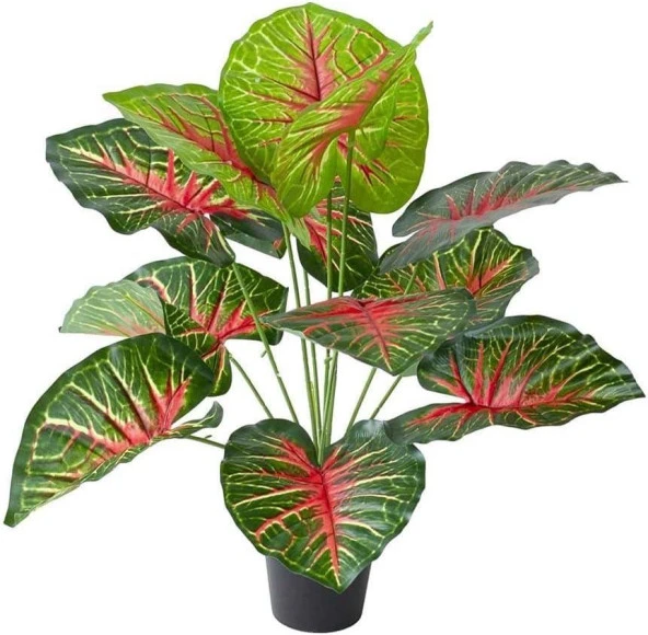 Nettenevime Yapay Çiçek Saksıda Tropik Kızıl Caladium 18 Dal 70 cm Salon Çiçeği Yapay Bitki ürün görseli 1