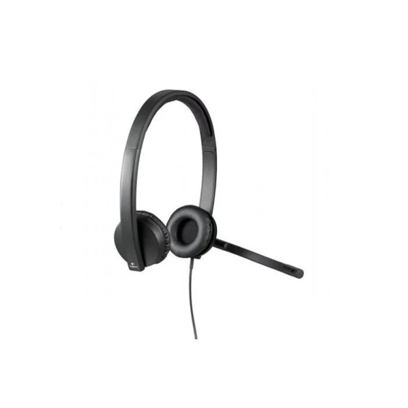 Logitech H570E Usb Stereo Kulaklık 981-000575 - Resim 3