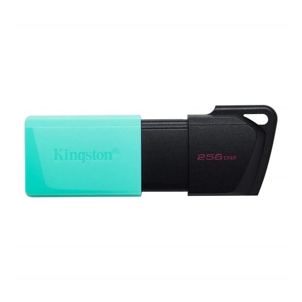 Kingston 256Gb Exodıa M Usb 3.2 Gen1 Dtxm/256Gb ürün görseli 1