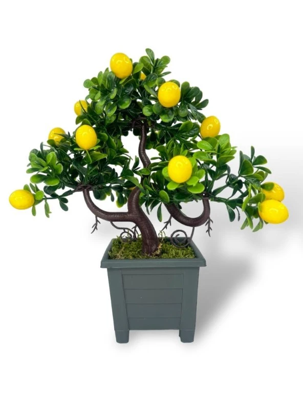 Nettenevime Bonsai Limon Ağacı Dekoratif Yapay Ağaç Yeşil Bonzai 28*23 CM Siyah Kare Saksıda ürün görseli 1