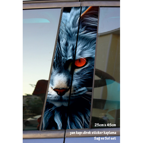 kedinin gözleri - yan kapı direk kaplama folyosu - 2 adet sol sağ sticker set ürün görseli 1