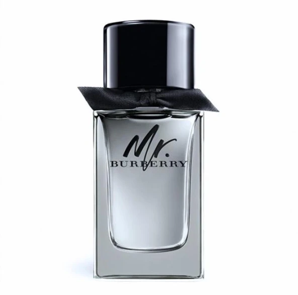Burberry Mr. Burberry Edt 100 Ml Erkek Parfüm ürün görseli 1