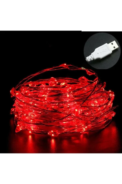 HİDZ Tel Led Işık 10 Metre Usb Girişli Kırmızı ürün görseli 1