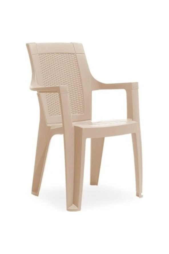 Besa 4 Adet Rattan Efektli Plastik Sandalye Kollu Bahçe Balkon Sandalyesi ürün görseli 1