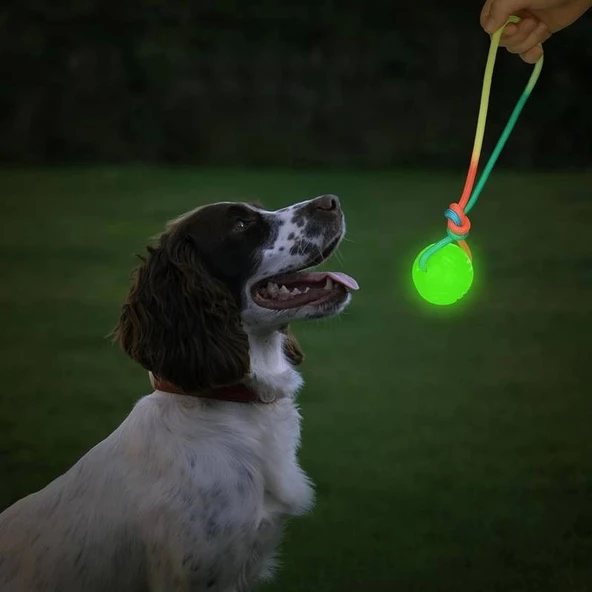 Parlayan Köpek Eğitim Diş İpi Oyuncağı 5 cm ürün görseli 1