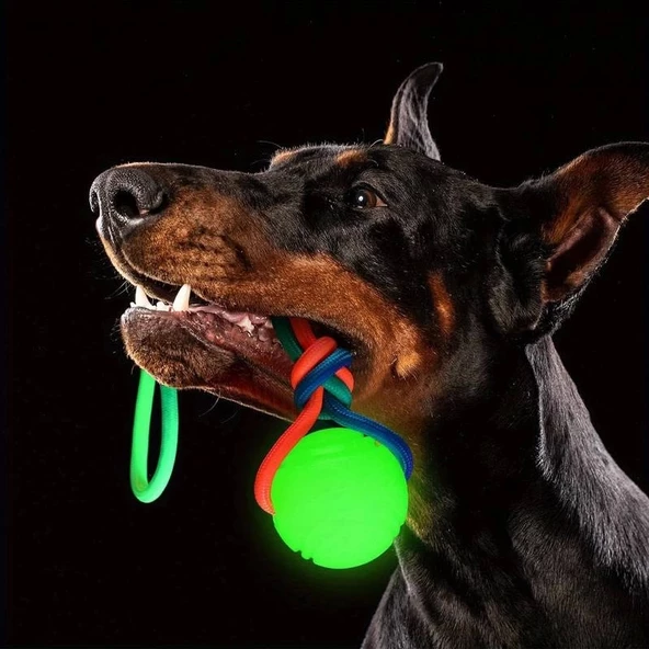 Parlayan Köpek Eğitim Diş İpi Oyuncağı 6 cm ürün görseli 1