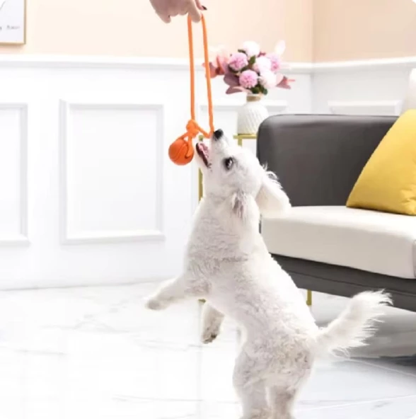 Köpek Renkli Elastik Toplu Diş İpi Oyuncağı 6 cm - Resim 5