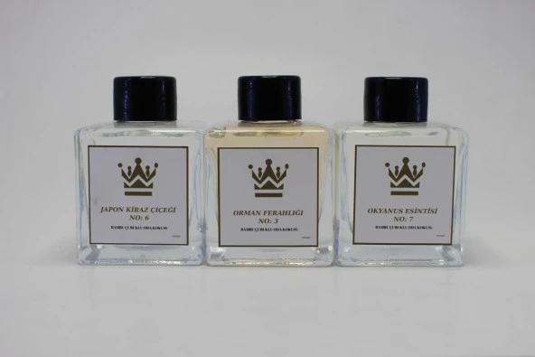 Bambu Çubuklu 3 Çeşit 100 ML Cam Kare Şişe 3 lü Set Oda Kokusu Parfümü Koku Giderici Ferahlatıcı Hava Temizleyici  3*100 ML ürün görseli 1