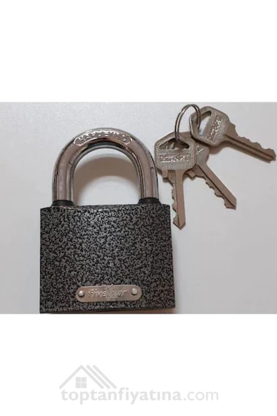 FİVESTAR 25 MM GRİ ASMA KİLİT (FSK0125) ürün görseli 1