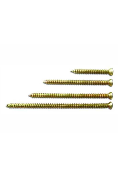 MERİDYEN 7,5X60 BULDEX VİDA 100 AD. ürün görseli 1